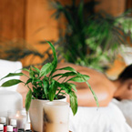 Massage Centre in Egmore